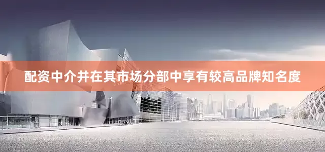 配资中介并在其市场分部中享有较高品牌知名度