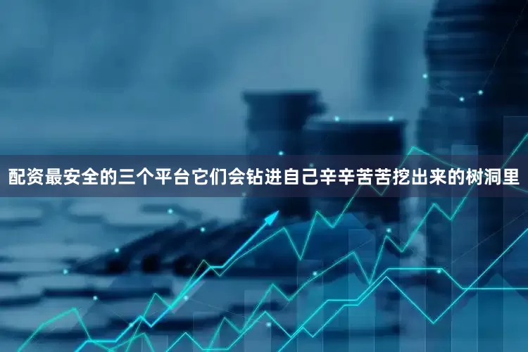 配资最安全的三个平台它们会钻进自己辛辛苦苦挖出来的树洞里