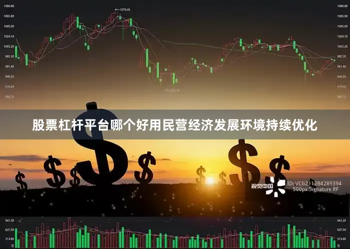 股票杠杆平台哪个好用民营经济发展环境持续优化